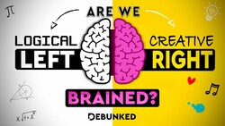 The Left Brain Right Brain Myth Instructional Video