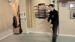 5 Facts about Close Combat Ninjutsu Tactics Instructional Video