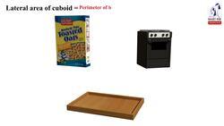 Geometry and Measurements: Lateral Area and the Total Area of a Cuboid Instructional Video