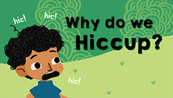 Lets stop these hiccups Instructional Video