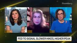 Harvard's Reinhart Sees Mounting Pressures on Central Banks News Clip
