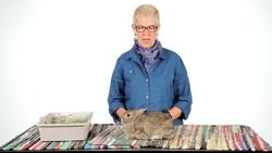 How to Help a Pet Rabbit with Gas Pain Instructional Video