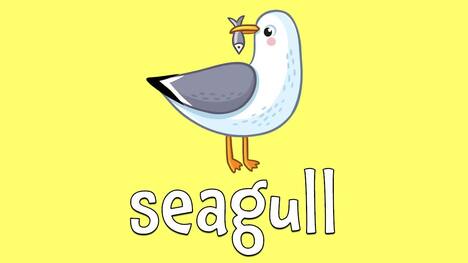 Summer Animals! Learn the Names of Animals that Love Warm Weather