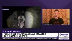 Former CEO Is Helping Animals Impacted By The War In Ukraine News Clip