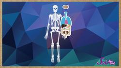 Your Super Skeleton! Instructional Video