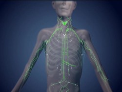 Understanding the Female Reproductive Cycle Instructional Video