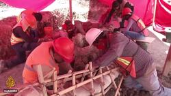 A mammoth discovery: Giant remains found near Mexico City News Clip