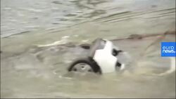 Two dead and several injured after bridge collapses in France News Clip