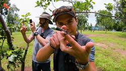 Massive Wildlife Encounters of 2019! Instructional Video