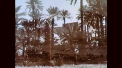 American Rollercoaster Ride Stock Footage