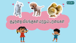 Cute Baby Animals - Little Wildlife Wonders - Tamil Instructional Video