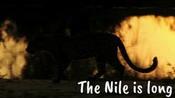 Music of Africa Song: Fun Sing-Along About Traditional African Music Instructional Video