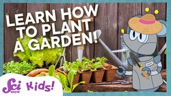 Let's Plant a Garden! | Squeaks Grows a Garden! | SciShow Kids Instructional Video
