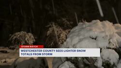 Westchester County sees lighter snow totals from storm News Clip