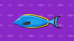 I WONDER - How Do Fish Float? Instructional Video