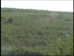 Summary of Grasslands Instructional Video