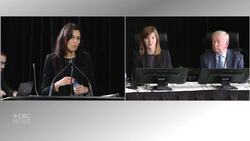 Global Affairs official address how the convoy protests affected Canada's international reputation News Clip