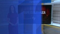 Peekskill painter pleads guilty in rape of 11-year-old girl News Clip