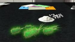 Artificial sweeteners may be toxic to digestive gut microbes Instructional Video