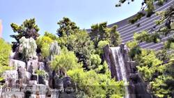 What Are the Highlights of the Wynn Las Vegas? Instructional Video