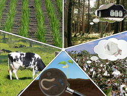 Soil: An Important Natural Resource for Life Instructional Video