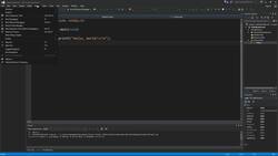 Learn and Master C Programming - Visual Studio Debug Menu Instructional Video