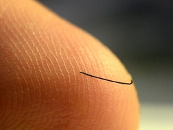 Partículas y materia: las partículas mas diminutas Instructional Video