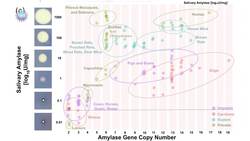 4 Awesome Discoveries You Probably Didn’t Hear About This Week - Episode 29 Instructional Video