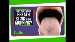Why Does Your Breath Stink in the Morning? Instructional Video