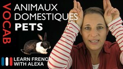 Pets in French (basic French vocabulary from Learn French With Alexa) Instructional Video