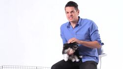 How to Adopt a Dog from a Shelter Instructional Video