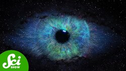 The Universe Has a Memory Instructional Video