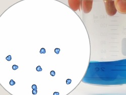 Explorando solidos, líquidos y gases: recapitulando Instructional Video