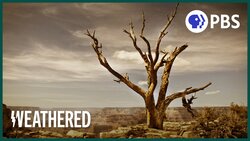 The Worst Drought in 1200 Years Instructional Video