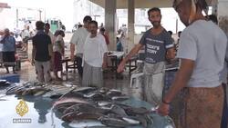 Yemen fishing industry devastated by war News Clip