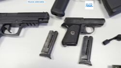 Portugal arrests six people linked to far-right group and seizes cache of explosives and weapons News Clip