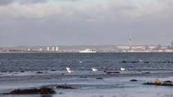 HMS Mersey in Portsmouth Harbour, UK News Clip