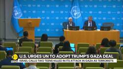 US urges United Nations to adopt Trump's Gaza deal or else Gazans will suffer News Clip