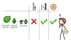 We don't know what a tree is (and this video won't tell you) Instructional Video