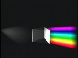 Photosynthesis: Photosynthesis and Light Instructional Video