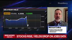 Fed Can Stop Raising Rates Now, PGIM's Collins Says News Clip