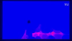 The Digitalization of Everything Instructional Video