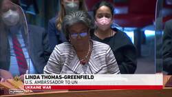 UNSC: West dismisses Russian claims of bioweapons in Ukraine News Clip