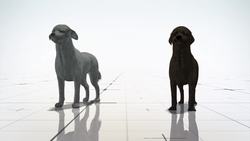 UK Border Force detector dogs celebrate 40th anniversary Instructional Video