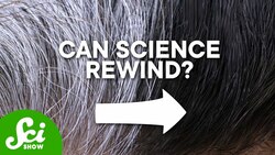 Can Gray Hair Be Reversed? Instructional Video