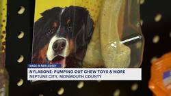 Made in New Jersey: Nylabone News Clip