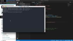 The Modern JavaScript Bootcamp (2019) - Searching Arrays: Part II Instructional Video