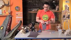 How to Make a Gas-Powered Rocket out of Alka Seltzer, Water & a Film Canister Instructional Video