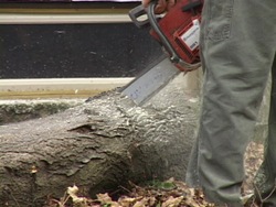 ¿Qué es el sonido?: intensidad del sonido y volumen Instructional Video