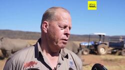 South Africa injects Rhino horns with radioactive material to combat poaching News Clip